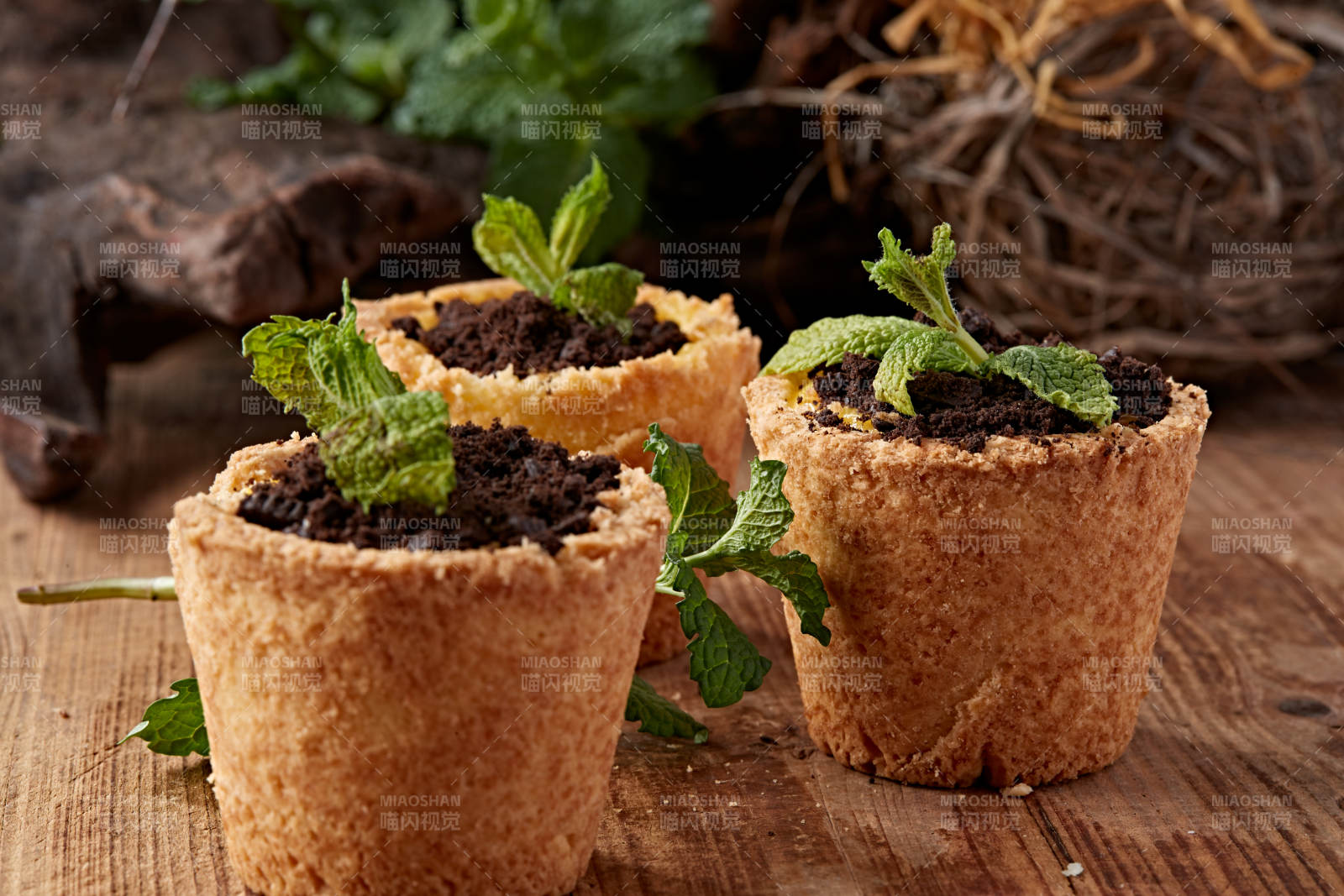 茶餐盆栽蛋挞巧克力冰激凌图片