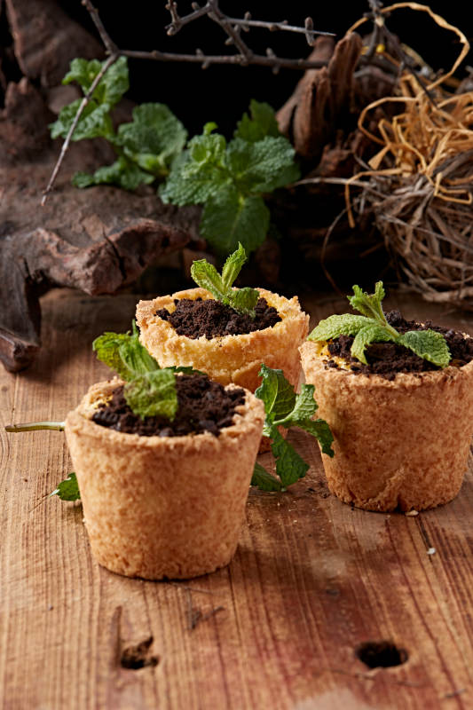 茶餐盆栽蛋挞巧克力冰激凌图片