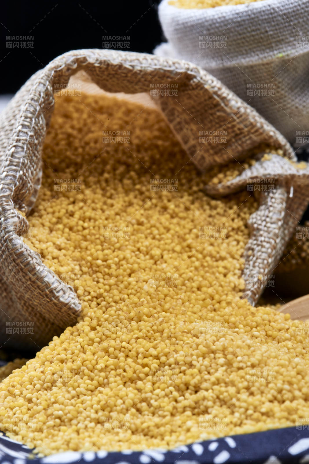 质量上乘的金黄小米粟米图片