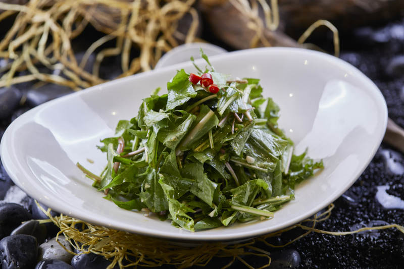 凉拌婆婆丁蒲公英图片