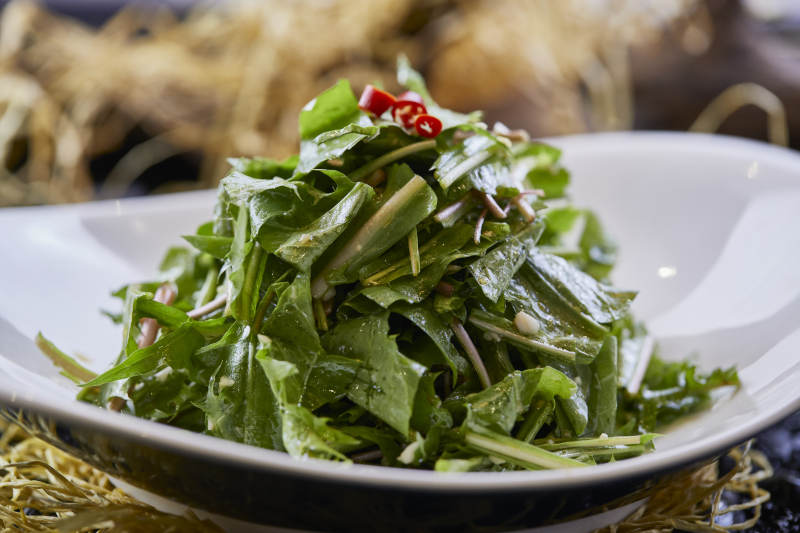 凉拌婆婆丁蒲公英图片