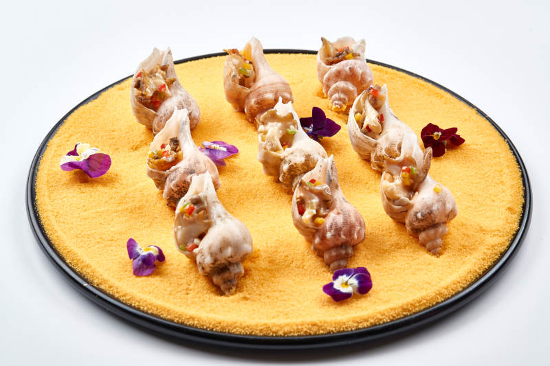 精美装饰餐具装的盐烧小海螺图片