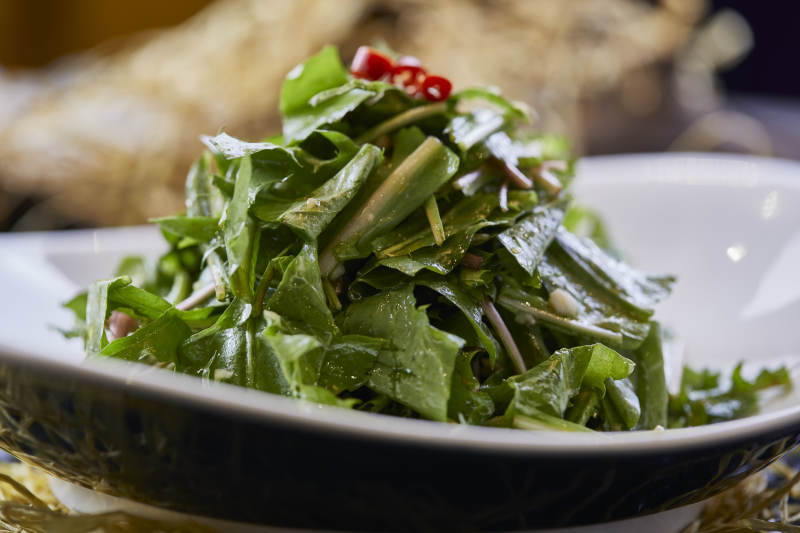 凉拌婆婆丁蒲公英图片