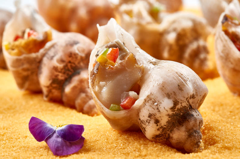 精美装饰餐具装的盐烧小海螺图片