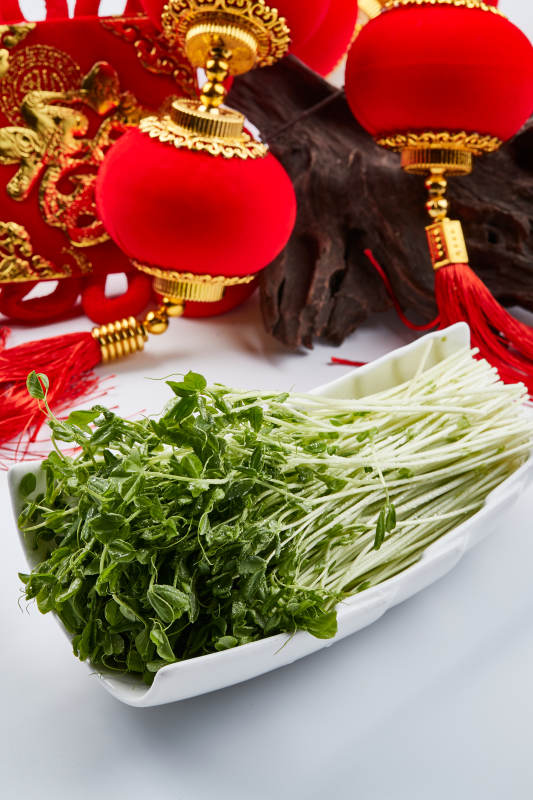 白色瓷盘装的火锅食材香椿苗图片