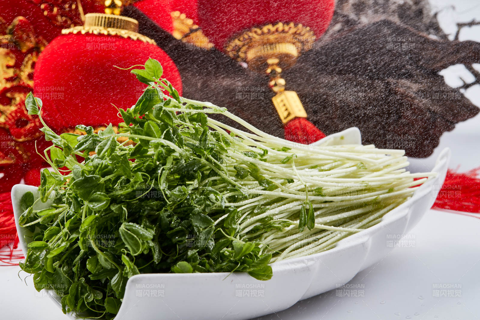 白色瓷盘装的火锅食材香椿苗图片