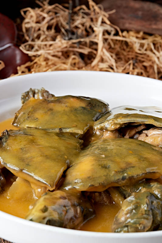 浓汤炖甲鱼图片