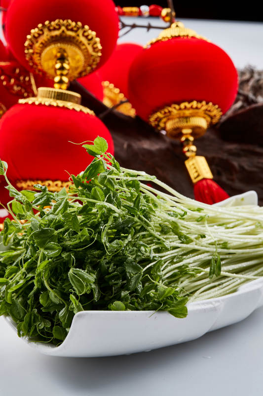 白色瓷盘装的火锅食材香椿苗图片