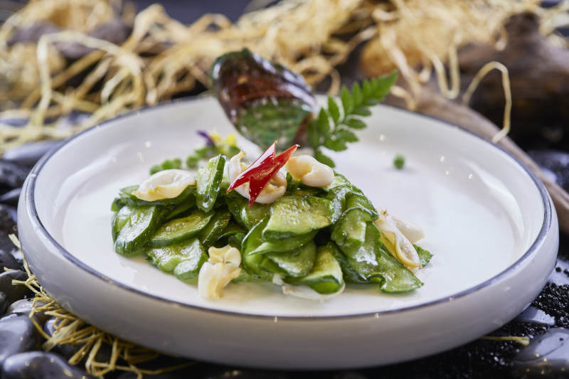 乳瓜爆螺片图片