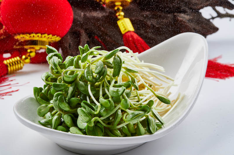 白色瓷盘装的火锅食材香椿苗图片