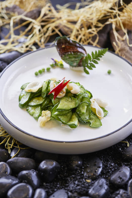 乳瓜爆螺片图片