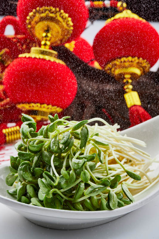 白色瓷盘装的火锅食材香椿苗图片