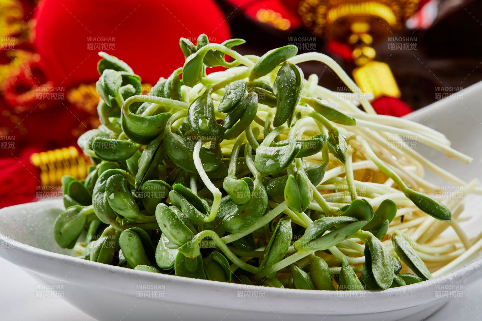 白色瓷盘装的火锅食材香椿苗图片