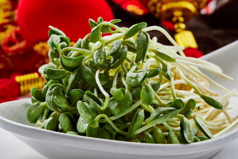 白色瓷盘装的火锅食材香椿苗图片