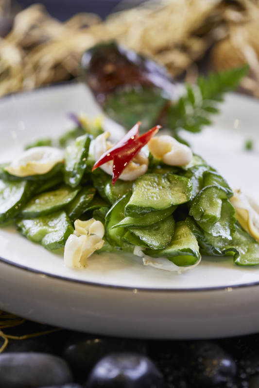 乳瓜爆螺片图片