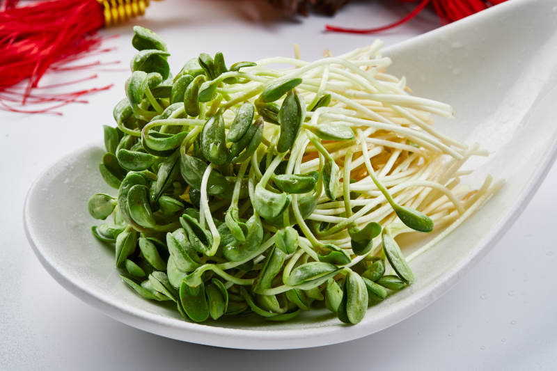 白色瓷盘装的火锅食材香椿苗图片