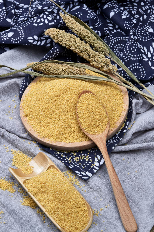 质量上乘的金黄小米粟米图片