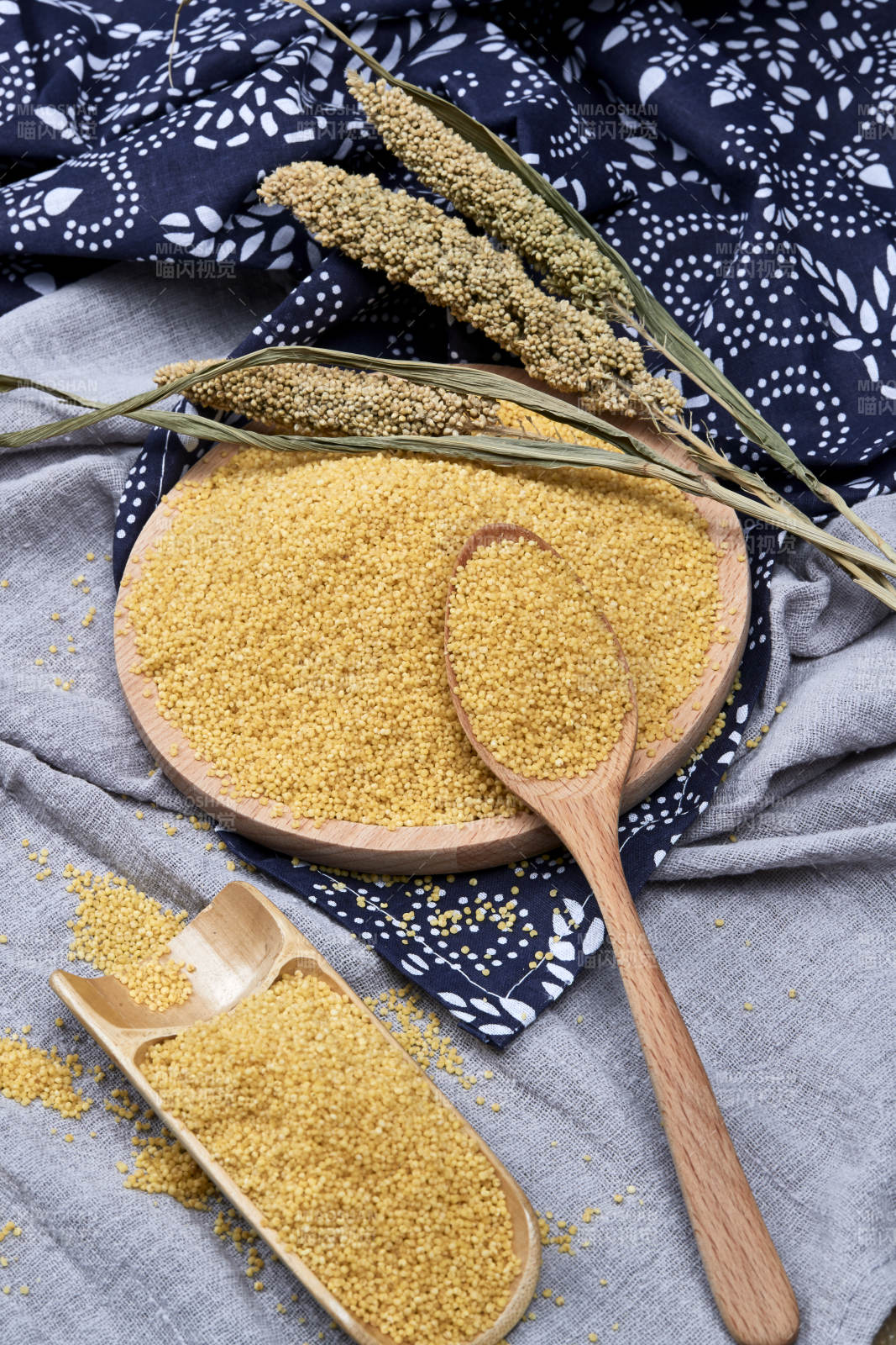 质量上乘的金黄小米粟米图片