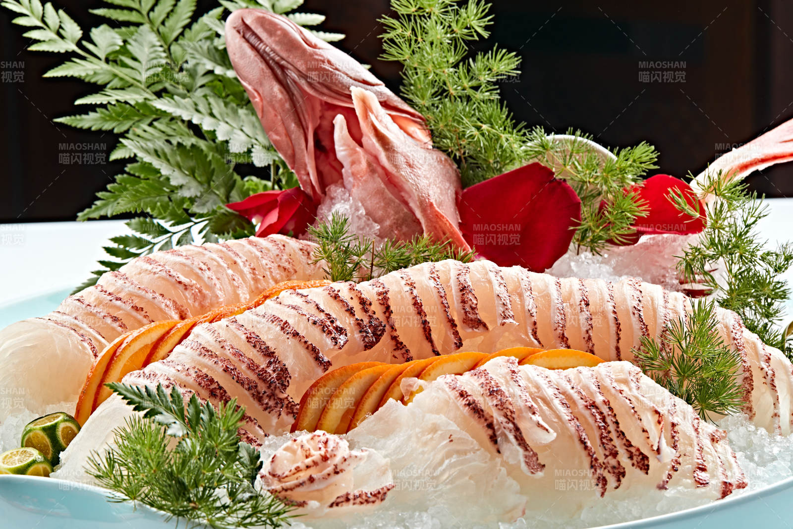 布满碎冰的青色瓷盘装的鲷鱼刺身生鱼片图片