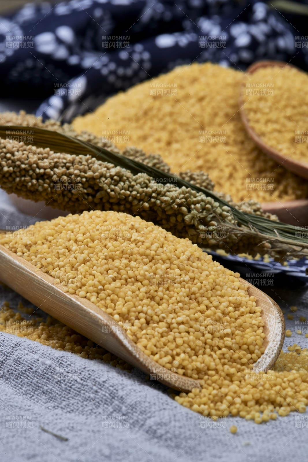 质量上乘的金黄小米粟米图片