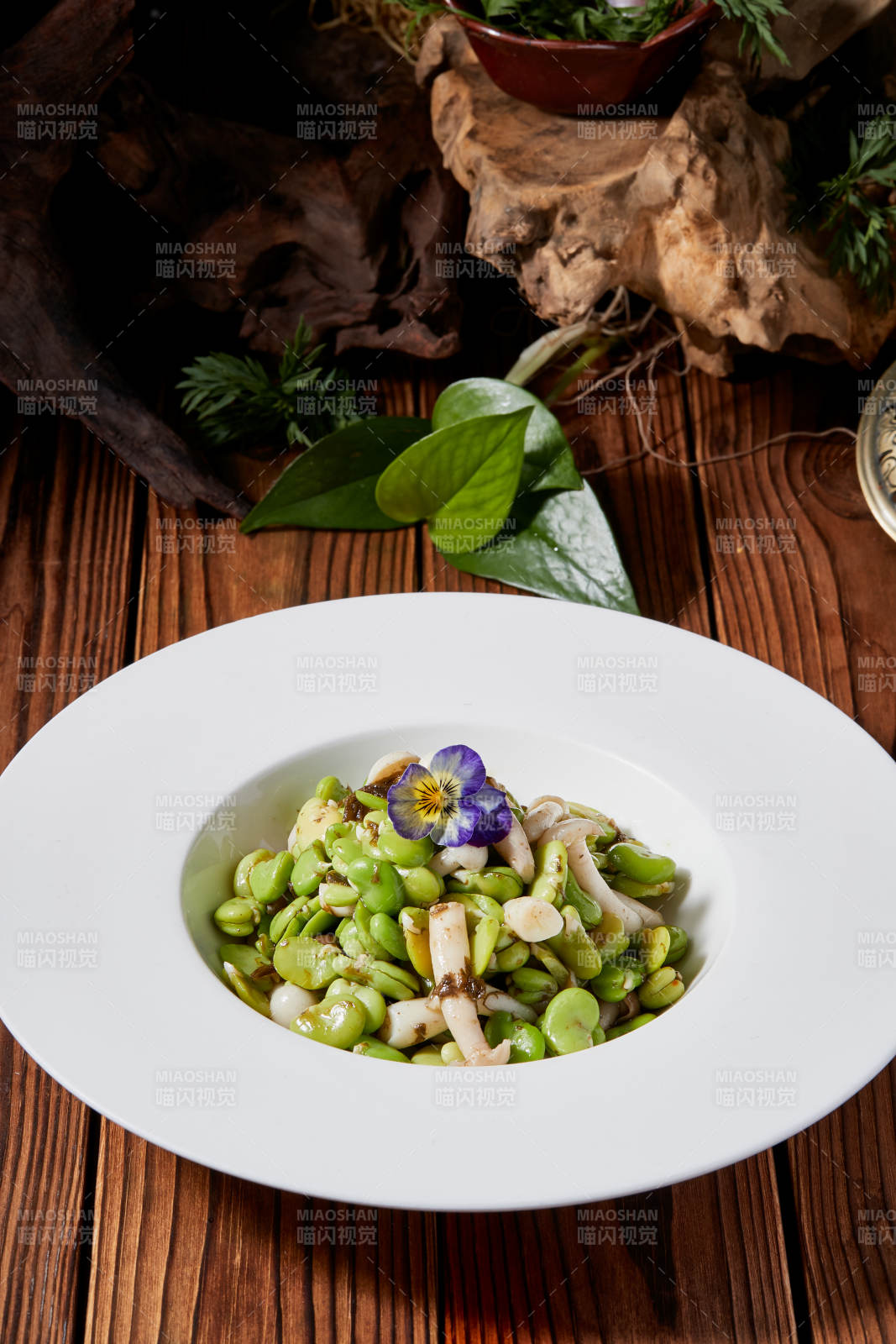 白玉菇小炒青蚕豆图片