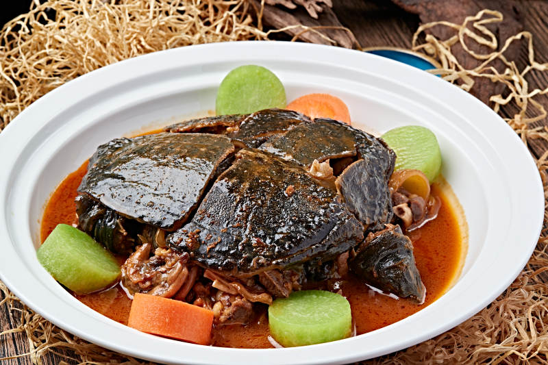 浓汤炖甲鱼图片