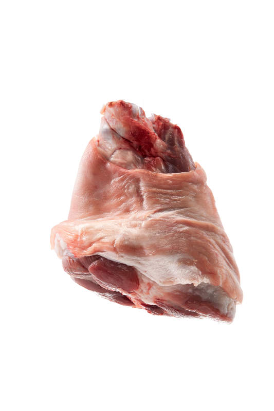 白色背景下的生鲜猪肘子图片