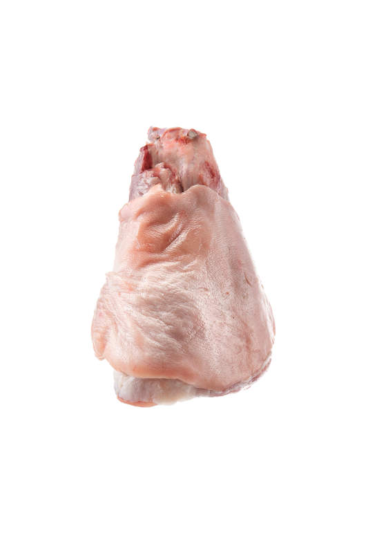 白色背景下的生鲜猪肘子图片