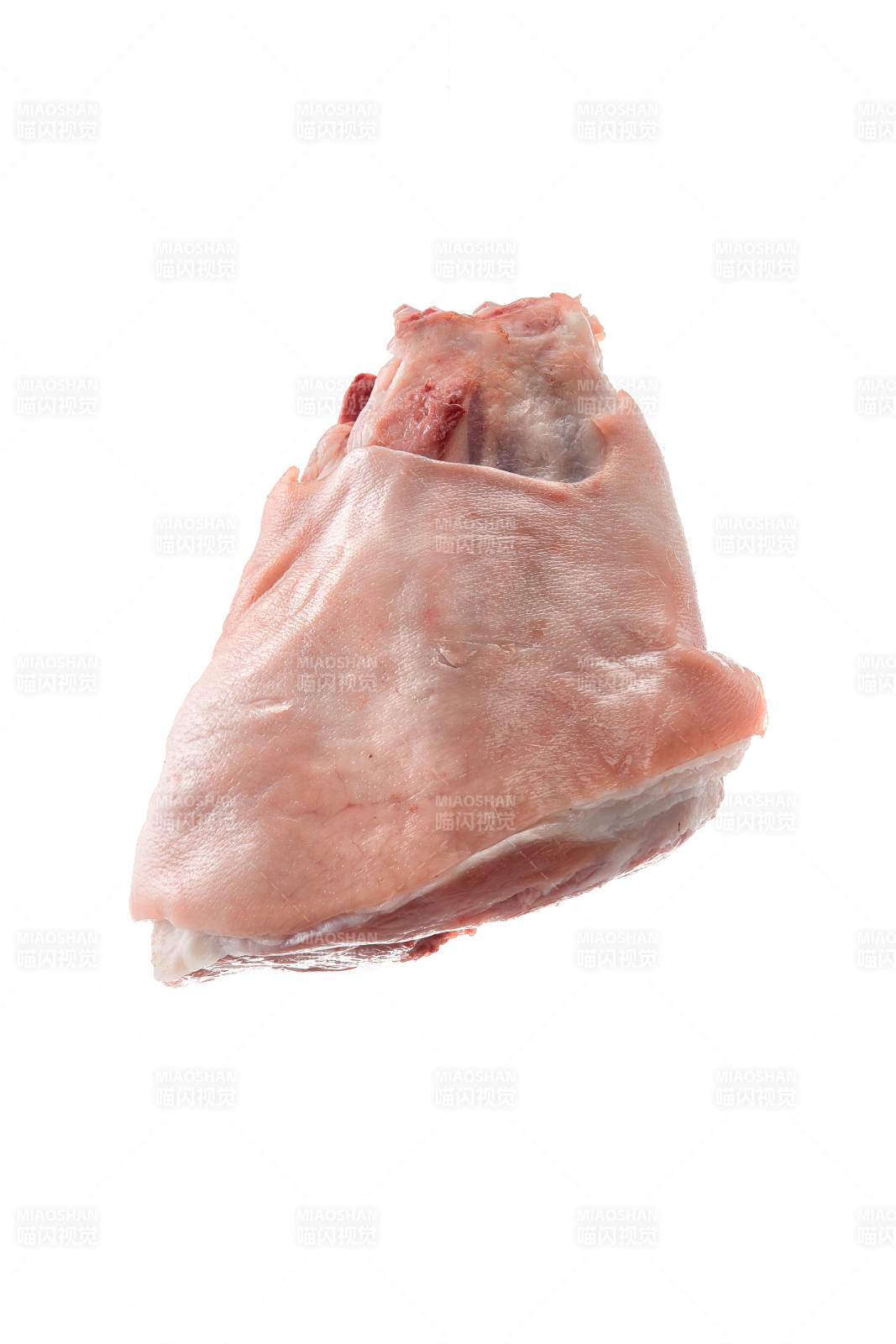 白色背景下的生鲜猪肘子图片