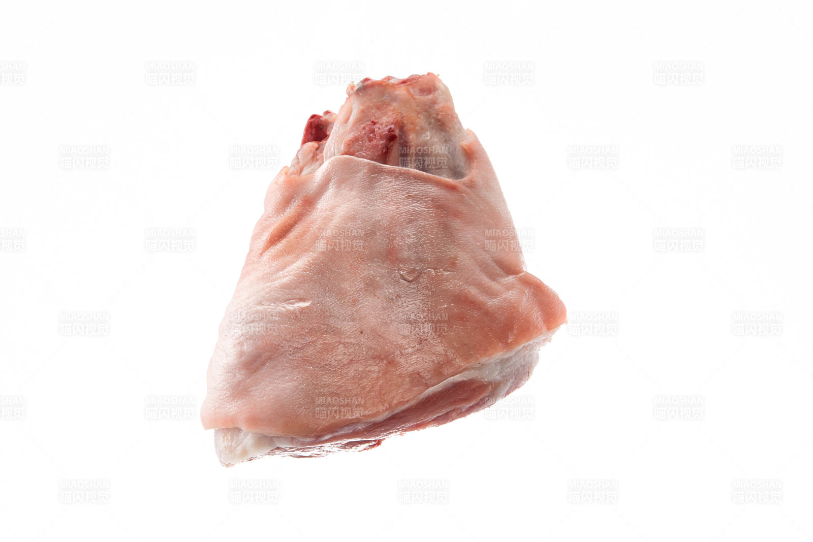 白色背景下的生鲜猪肘子图片