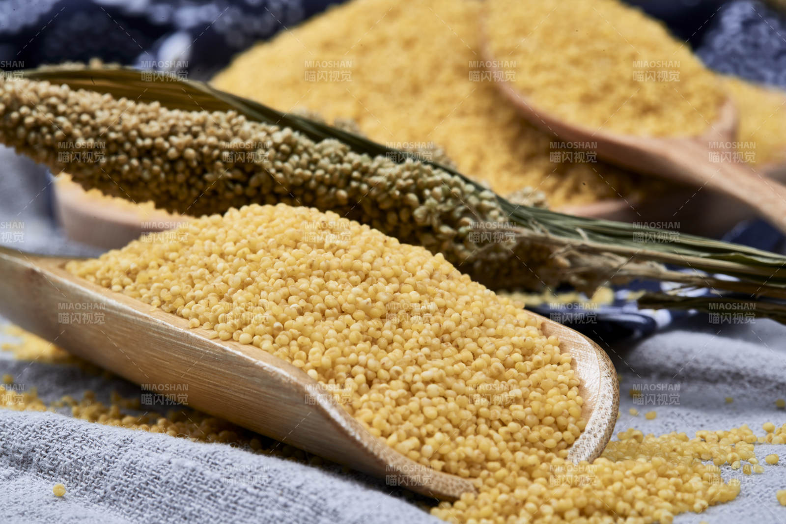 质量上乘的金黄小米粟米图片