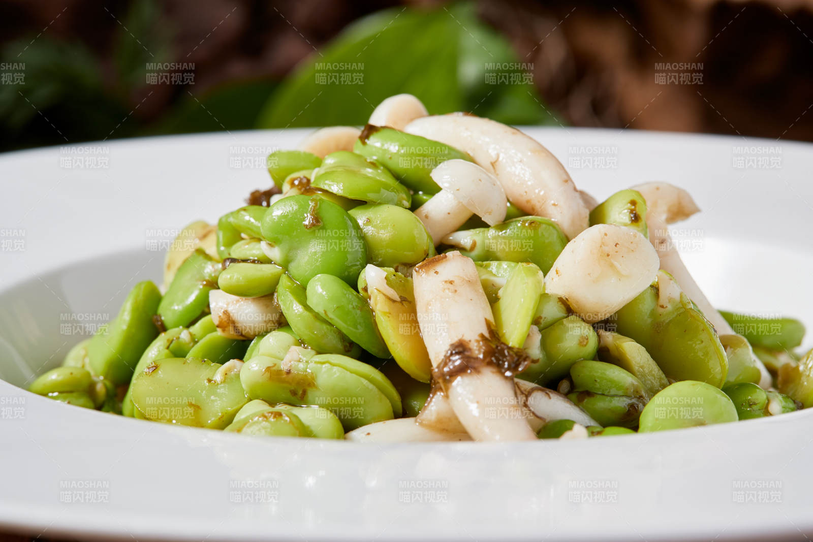 白玉菇小炒青蚕豆图片