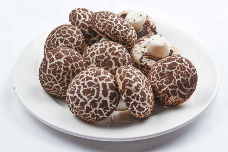 仿真杂粮香菇包图片