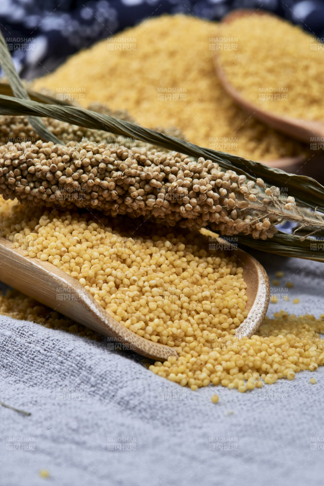 质量上乘的金黄小米粟米图片