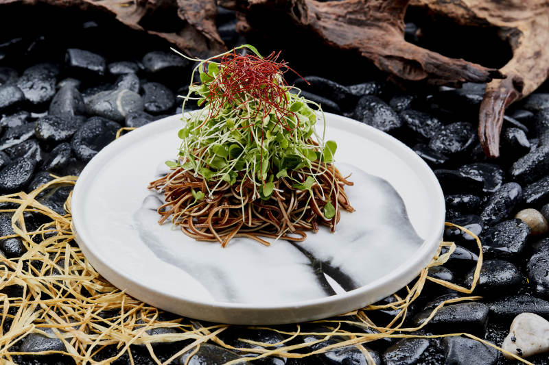 香椿苗凉拌烟熏豆腐丝图片