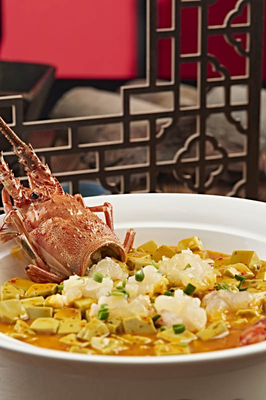 咖喱汁炖澳洲龙虾配鸡蛋豆腐图片