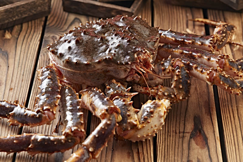 木板上的北美阿拉斯加帝王蟹图片