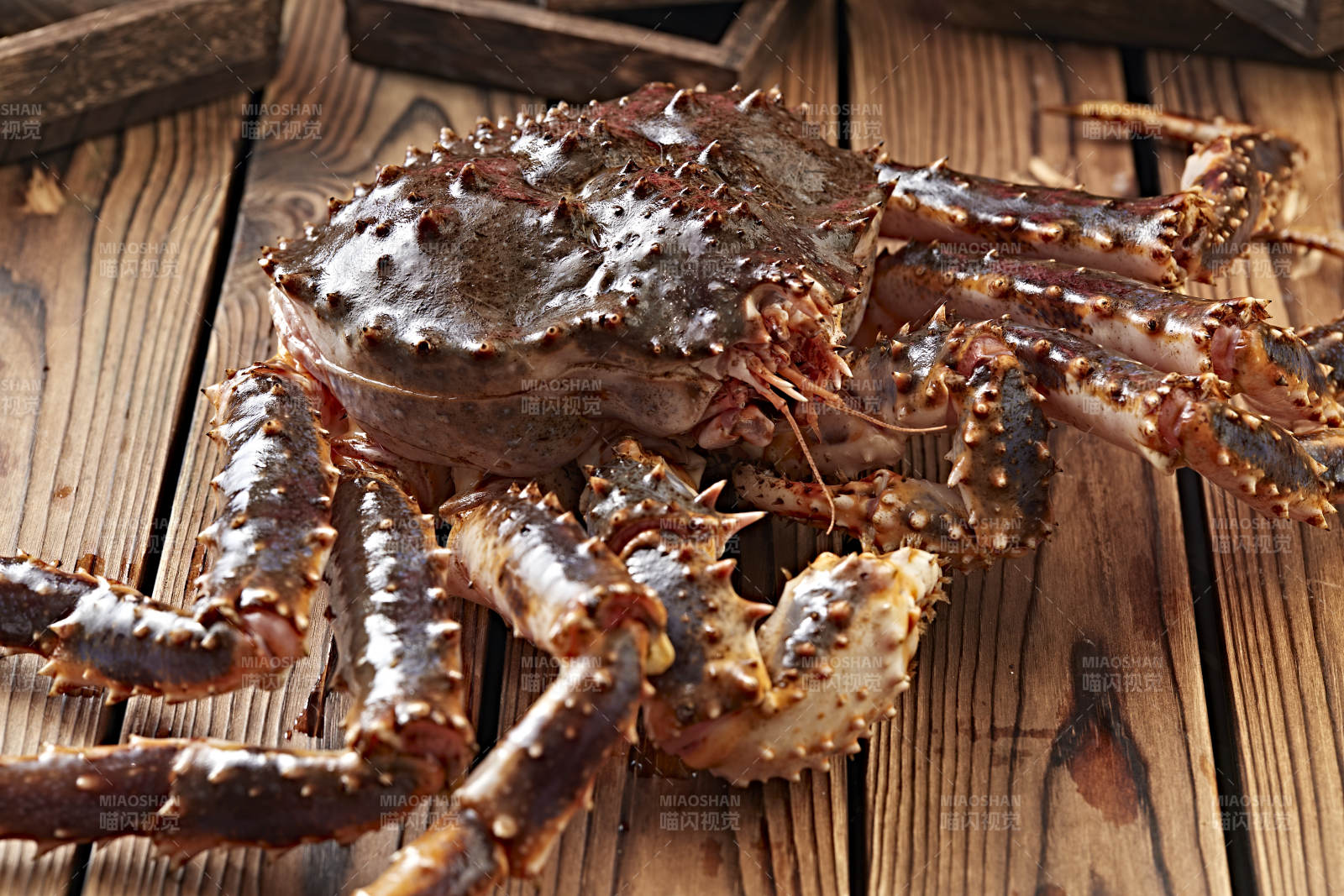 木板上的北美阿拉斯加帝王蟹图片