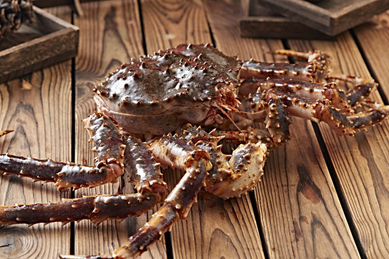 木板上的北美阿拉斯加帝王蟹图片