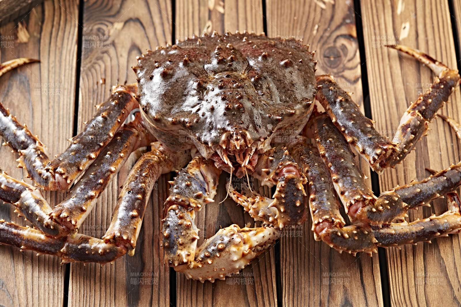 木板上的北美阿拉斯加帝王蟹图片
