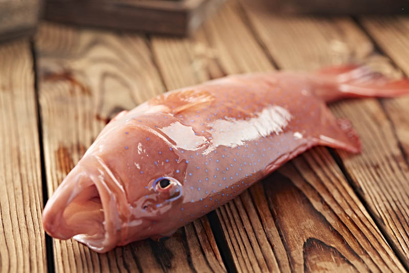 在木板上的鲜活东兴石斑鱼图片