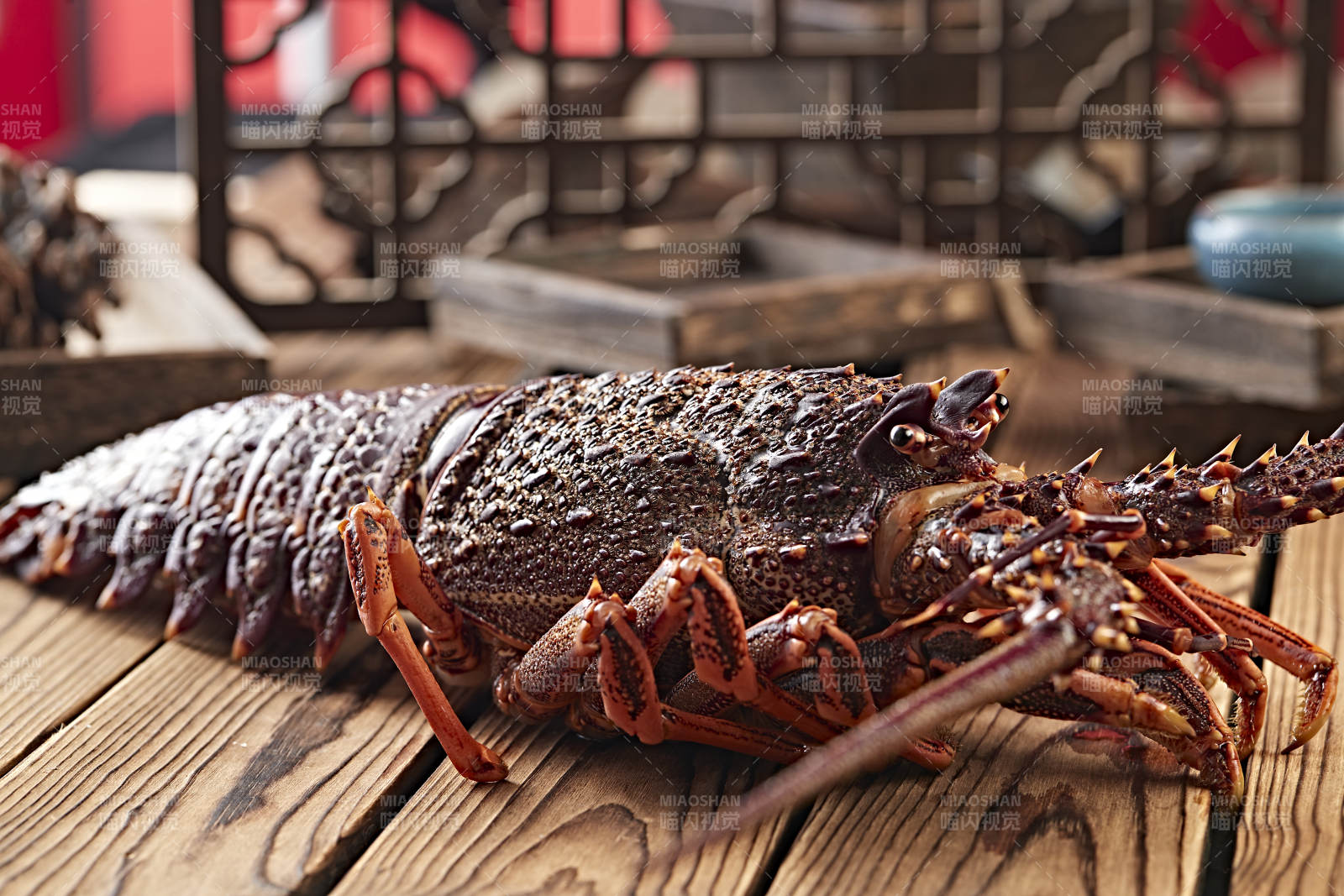 木板上的澳洲大龙虾图片