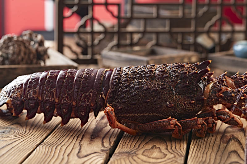 木板上的澳洲大龙虾图片