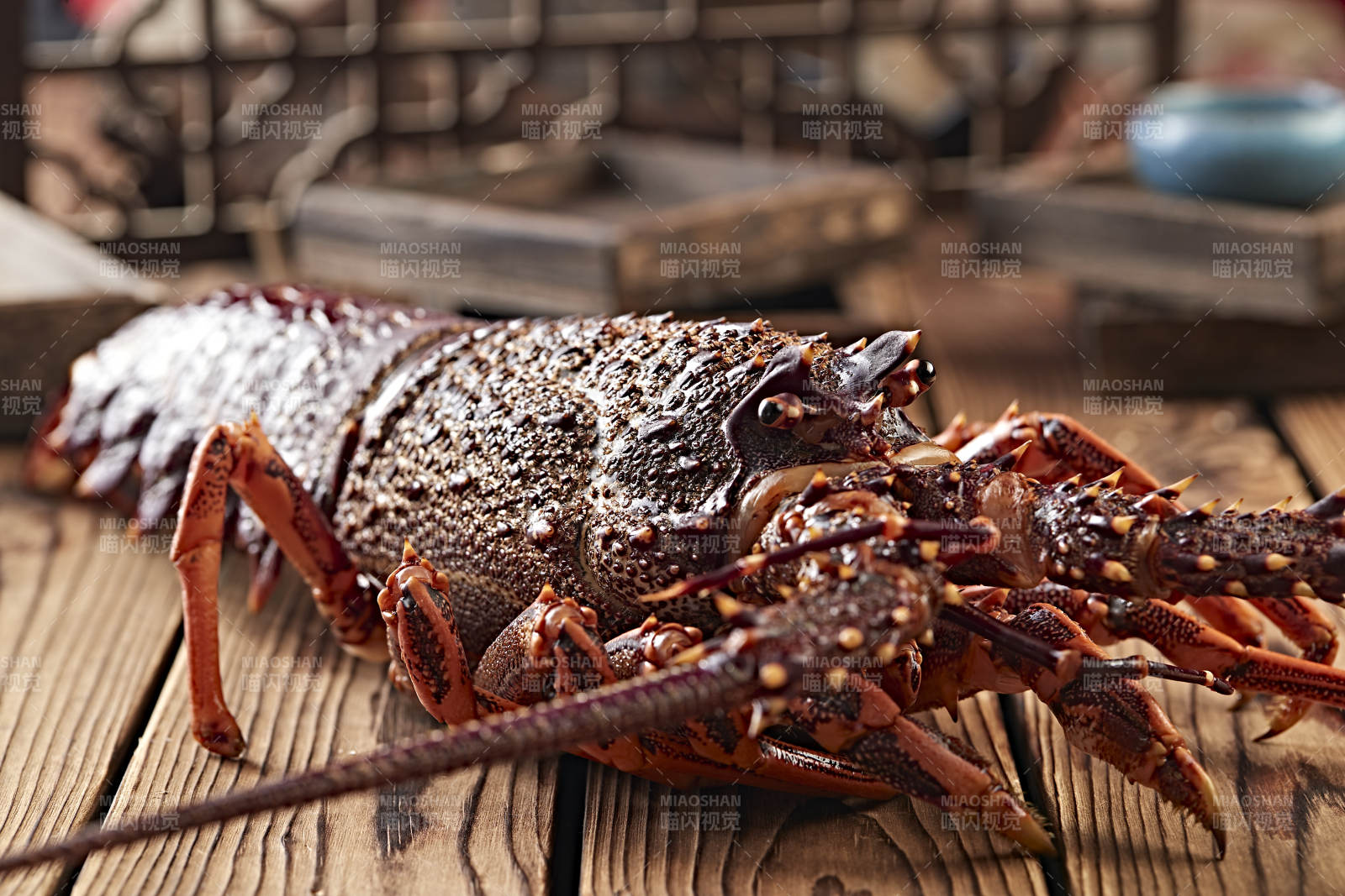 木板上的澳洲大龙虾图片