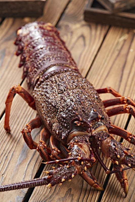 木板上的澳洲大龙虾图片