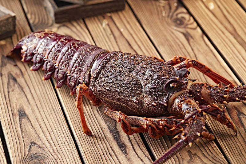 木板上的澳洲大龙虾图片