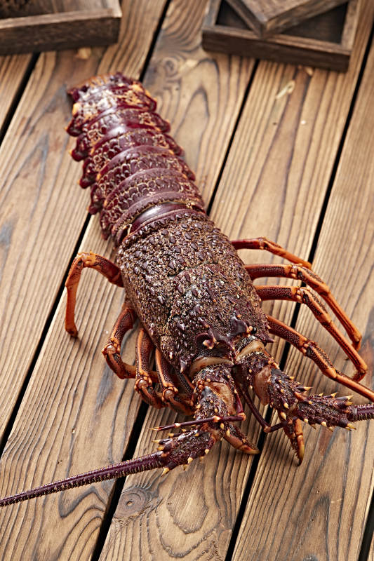 木板上的澳洲大龙虾图片
