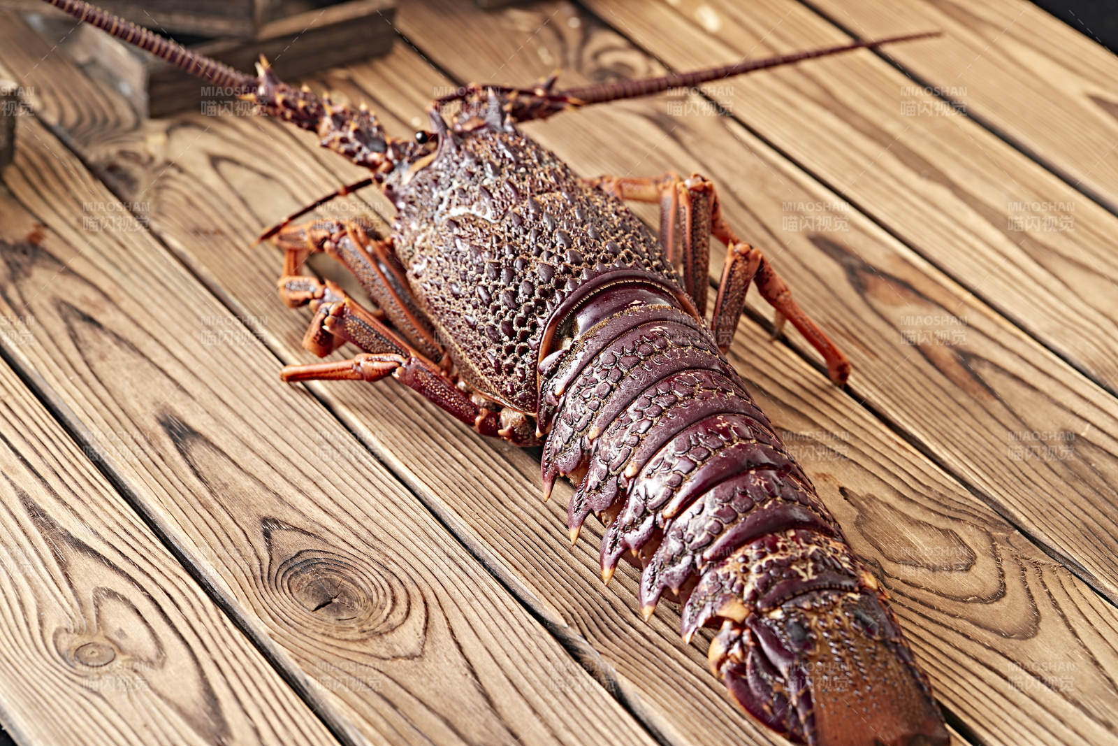 木板上的澳洲大龙虾图片