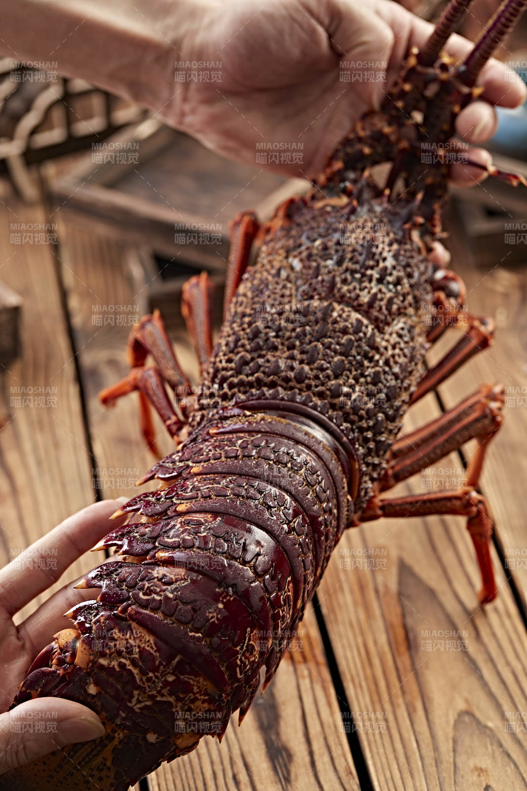 木板上的澳洲大龙虾图片