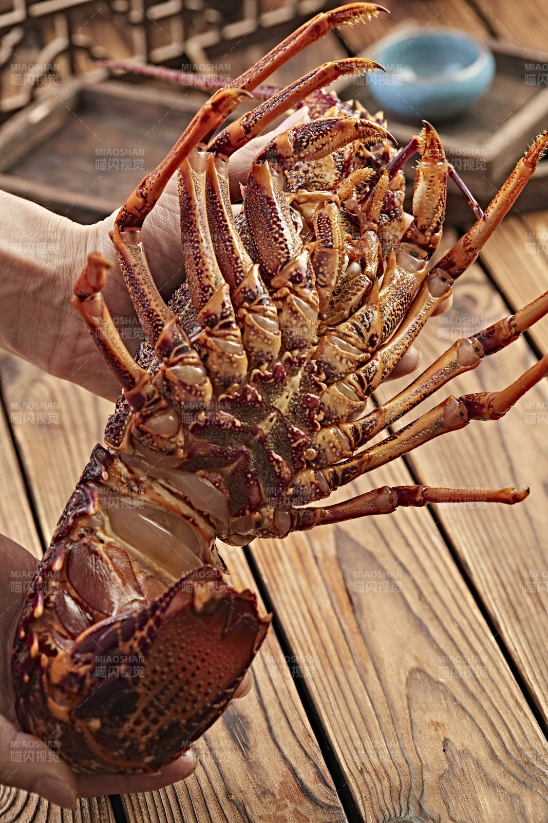 木板上的澳洲大龙虾图片